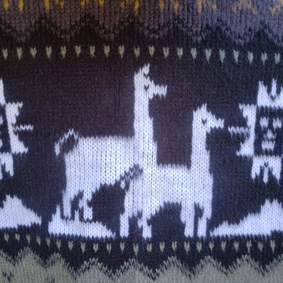 Vintage Artesanias Tuntaquimba Llama/Alpaca Full Zip Wool Hoodie - SA - Picture 15 of 16